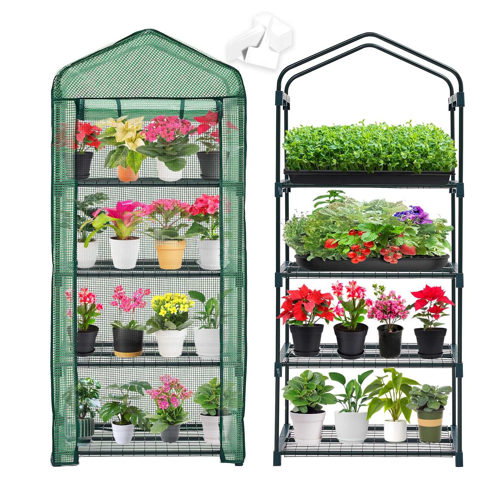 Mini Greenhouse for Indoor Outdoor,Plant Green House 4-Tier Rack Stand Portable Greenhouses with Durable PE Cover for Seedling, 2.5x1.6x5.2 FT Ideal Gardening Gifts for Women Men(PLGH704G)